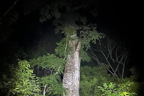 Utflukt i Soberania nasjonalpark