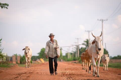 Verborgen juweeltjes van Siem Reap Privétour & aanpasbare