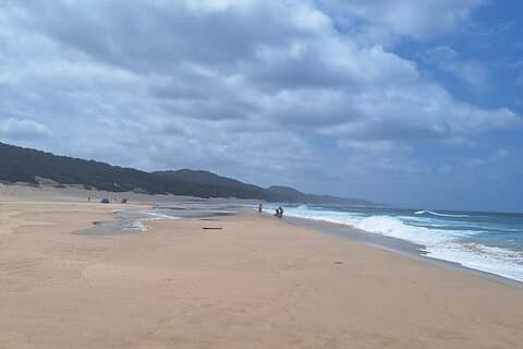 Shore Excursion : Epic Safari & Surf, iSimangaliso Wetland Park