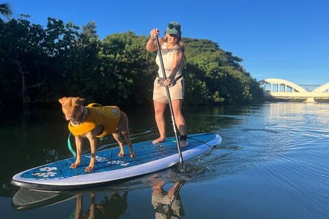 Paddle Board North Shore with Rescue Dogs