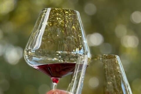 Orange Region Winery Experience by Onayi