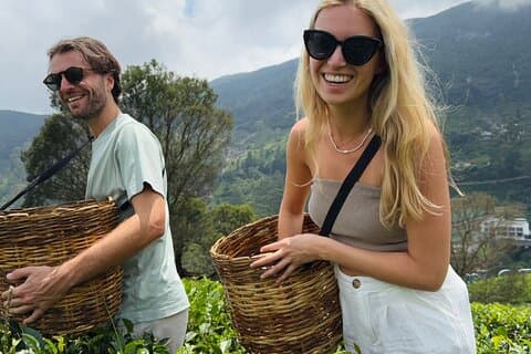 Nuwara eliya thee plukken / testen & Watervallen Tours met Tuk Tuks