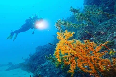 Try scuba diving