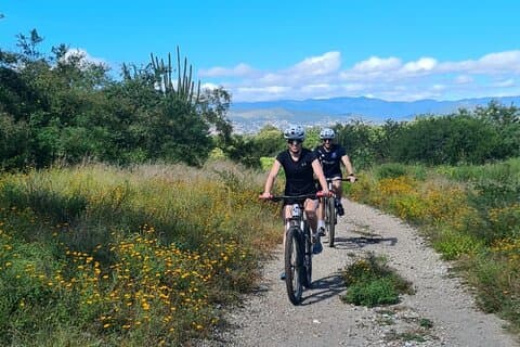 Tule Tree MTB Tour | Small Group and Professional Guide