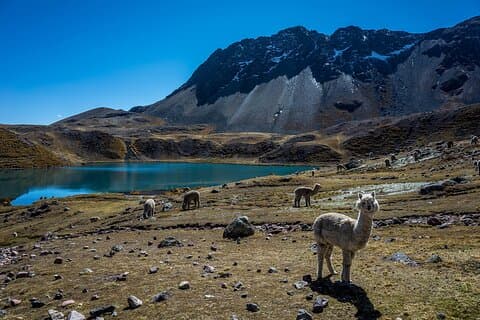 Wandeling naar de 7 Ausangate lagunes 1 dag
