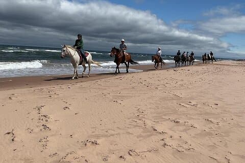 Lakeside Experience Beach Walk, Trot, Canter