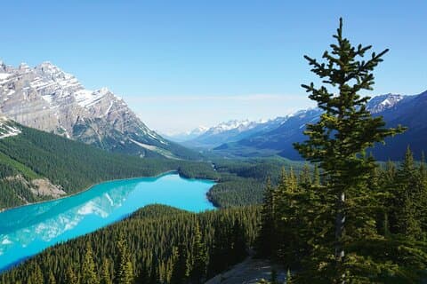 5 Lagos Louise, Moraine, Emerald, Peyto & Bow Lake Banff Jasper