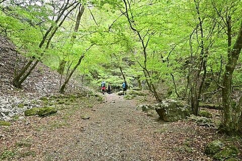 Vandringsäventyr till Mt. Mitake, fly från hjärtat av Tokyo
