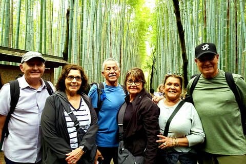 4 timers Arashiyama og Arashiyama Monkey Park tur