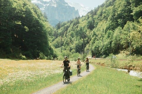 Interlaken Valley E-cykel tur: Floder, søer, skove og slotte