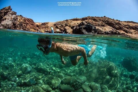 Guidad snorkling på skeppsvrak