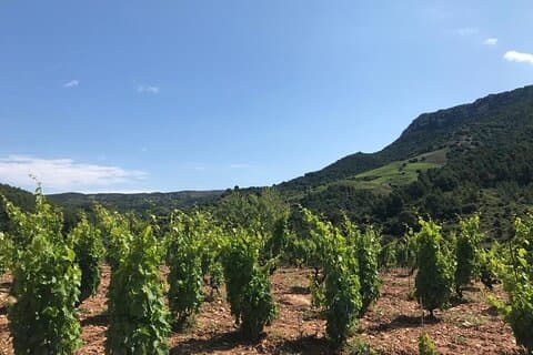 Private Siurana village & tasting wines cellar with hotel Pickup