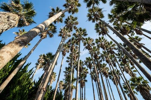 3日間で済州島観光: キュレーションされたオールインクルーシブな体験