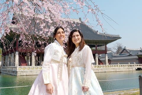 Seoul: Byens høydepunkter og historisk opplevelse Ingen shopping
