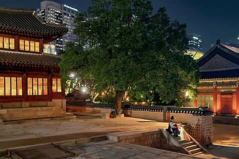 Tour serale del Palazzo di Seoul alla Torre di Namsan