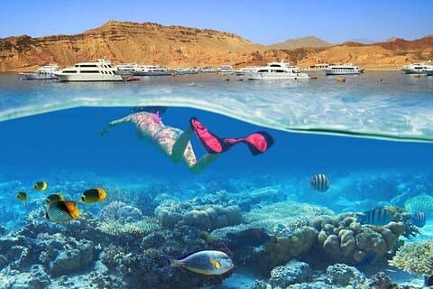 Snorkling tur til White Island og Ras Mohammed i Sharm El Sheikh