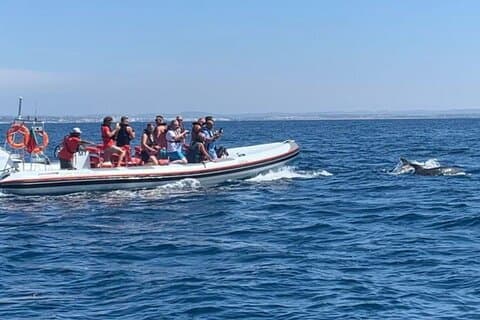 Observation des dauphins et visite des grottes de São Rafael