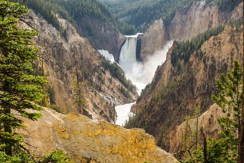 Yellowstone Private Tour op til 14 - en overraskelse aktivitet inkluderet