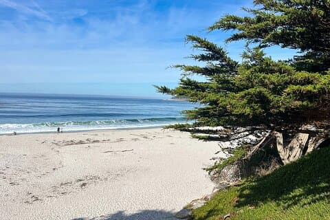 3 - Private Pazifiktour nach Big Sur, Hearst Castle und mehr