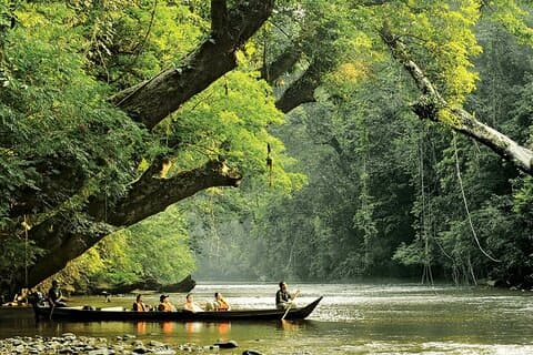 Hoteller i nærheden af Taman Negara Rainforest Tour and Boat Ride