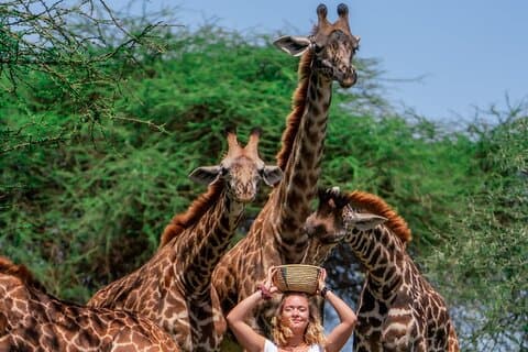 サーバル野生動物サファリ、マテルニ滝ハイキング、コーヒーツアー