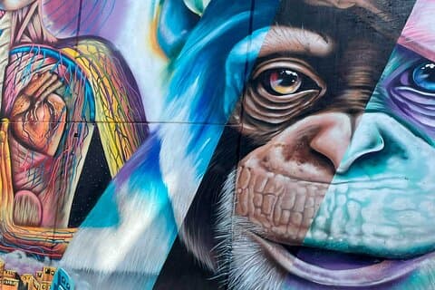 Tour Comuna 13 Medellín Arte e Historia