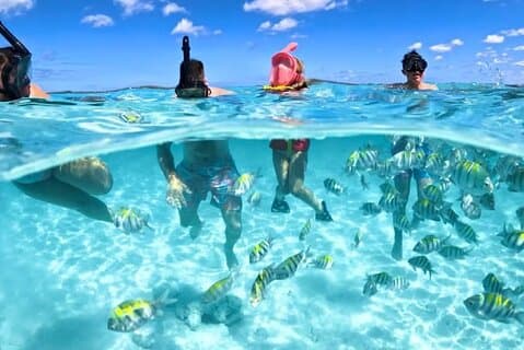 Nassau: 3 öar Grisar, Sköldpaddor, Snorkel & Beach Club med lunch