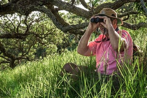 Waiheke Island Private Birding Tour