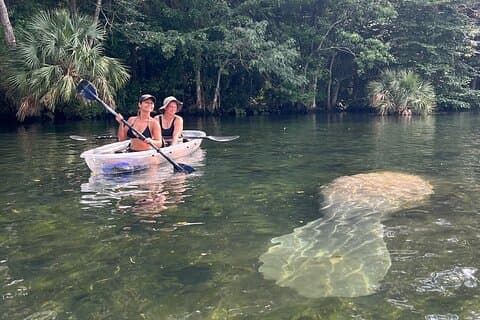 Chassahowitzka River Clear Kayak Springs & Manatee Tours