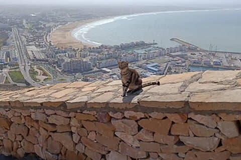 Agadir City Tour – VIP Experience Like No Other !