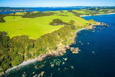 Tour di Matakana Explorer