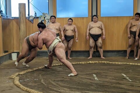 Spectacle de sumo et déjeuner Chanko