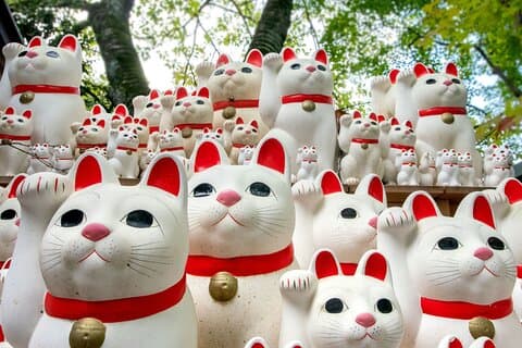 Lucky Cats Temple & Old Tokyo Yanaka 1/2 - Dagsvandring privat tur
