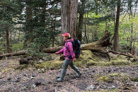 Private Mt Fuji Car and Hiking Experience from Gotemba