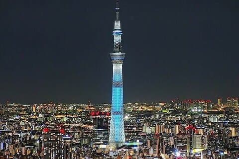 Tokyo Sightseeing / City Tour med egen bil med Engelsk Guide