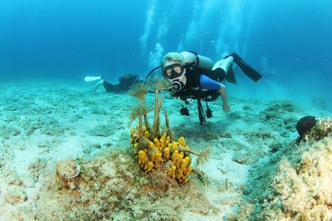 Discover Chania Underwater–2 Easy Dives with Free Photos & Pickup