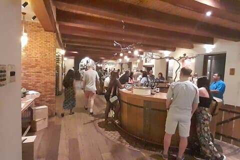 Au départ du Cap 15 Visite privée de dégustation de vin et de faune