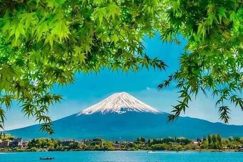 Mount Fuji Luxury Tour in Mercedes-Benz | Green Plate Car