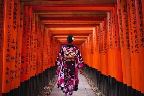 De Osaka/Kyoto: Private Kyoto & Nara Day Trip com Pickup