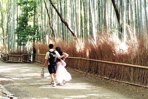 Kyoto: Lugn morgonpromenad i Arashiyama Bamboo Grove