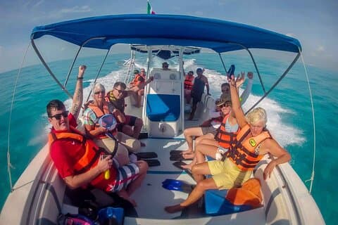 Simma med valhajar från Cancun
