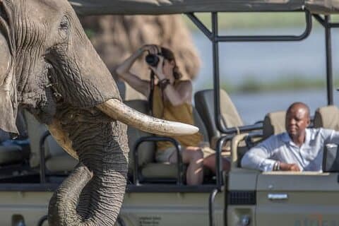 6 dage Amboseli, Naivasha og Masai Mara Safari oplevelse