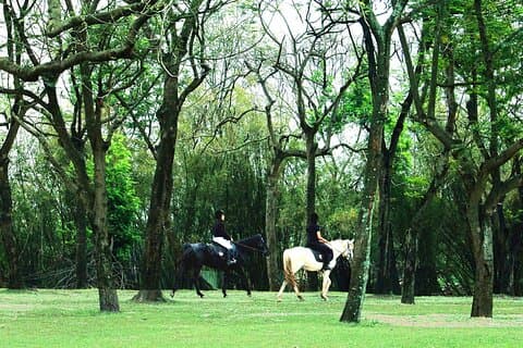 Hanoi Horseback Club & Tours - Expérience exclusive