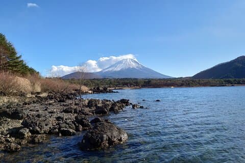富士五湖森林浴
