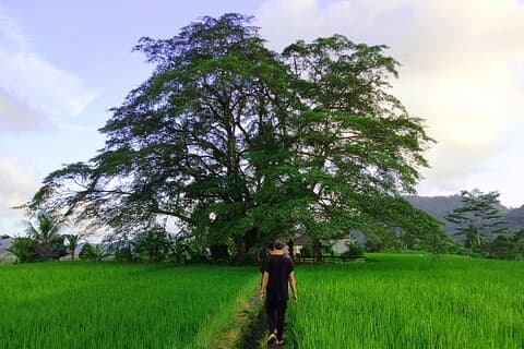 Sidemen Trekking with Cultural Encounters and Nature Views