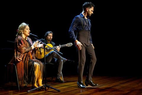 Jerez: Privat fest med vinsmagning, middag og flamenco show