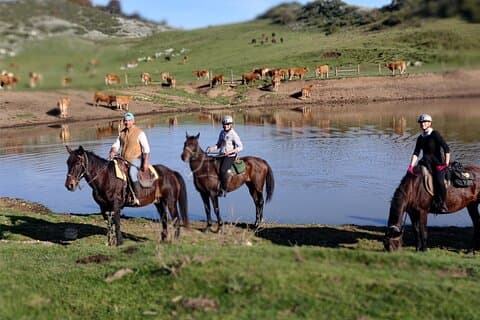 Daily out of Rome : Horseback ride with meals & wine included