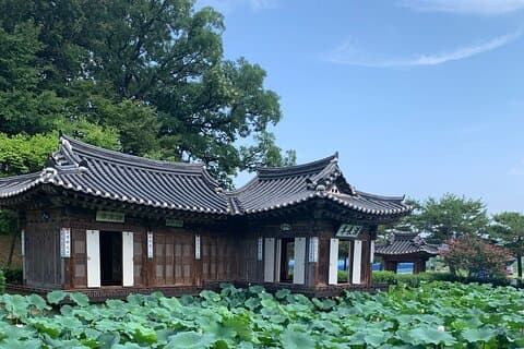 Dagstur fra Seoul til Gangneung: Østkysten Bliss