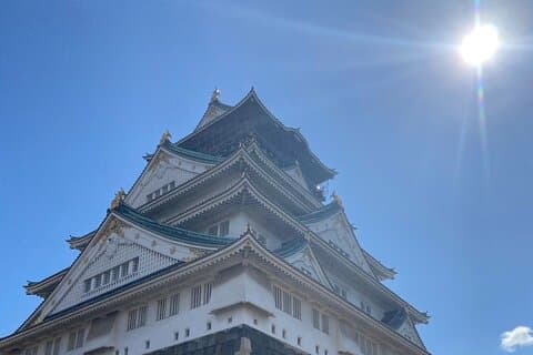 Osaka Privat lokal rundtur med slott och lokalt tempel