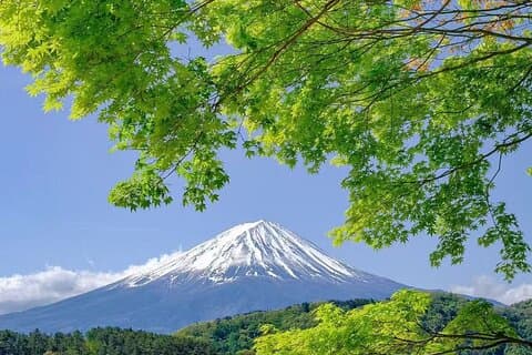 Gita di un giorno privata sul Monte Fuji Area con autista che parla inglese